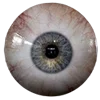 👁