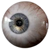 👁