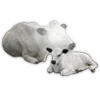 ?