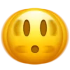 ?‍?