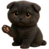 👋