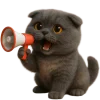 📢