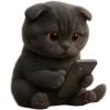 Эмодзи Котик Нонг Дум
