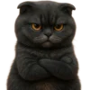 Эмодзи Котик Нонг Дум