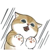 🐱