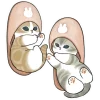 🐱