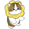 🌼