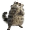 Эмодзи Манулы