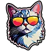 😼