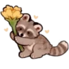 🦝