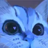 😻