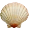 Эмодзи Sea