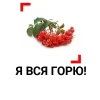 Эмодзи 3 сентября Михаил Шуфутинский
