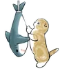 🦈