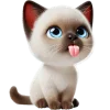 😛
