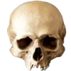💀