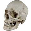 💀