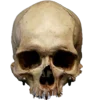 💀