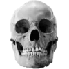 💀