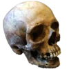 Эмодзи Skully Mood