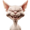 👹