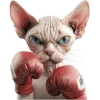👊