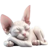 😴