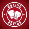 🥊