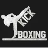 🥊