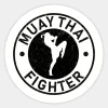 🥊