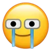 📲