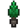 🌳