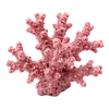 🌊