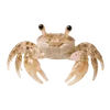 Эмодзи Treasures from the Sea