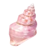 Эмодзи Treasures from the Sea