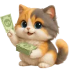 💸