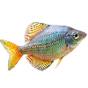 Эмодзи Sea World
