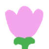 🌷