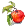 Эмодзи Watercolor red