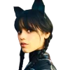 😼