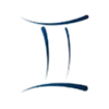 ♊️