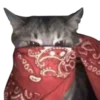 Эмодзи bandanacats