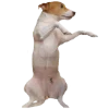 ?