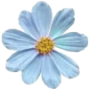 Эмодзи navy&blue
