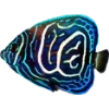 🌊