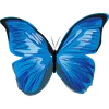 🦋