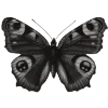 Эмодзи Butterfly ?