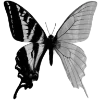 Эмодзи Butterfly ?