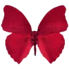 Эмодзи Butterfly ?