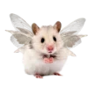 ?